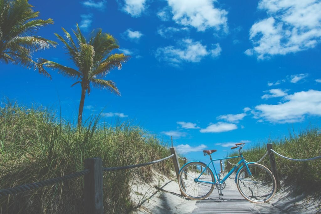 image of sandy path leading to a beach with trees and grass on both sides and a bicycle in the middle